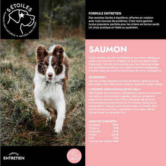 5 ÉTOILES | Formule entretient Saumon 9 lbs - Nourriture crue pour chiens