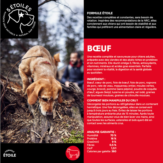 5 ÉTOILES | Formule étoile Boeuf 10 lbs - Nourriture crue pour chiens