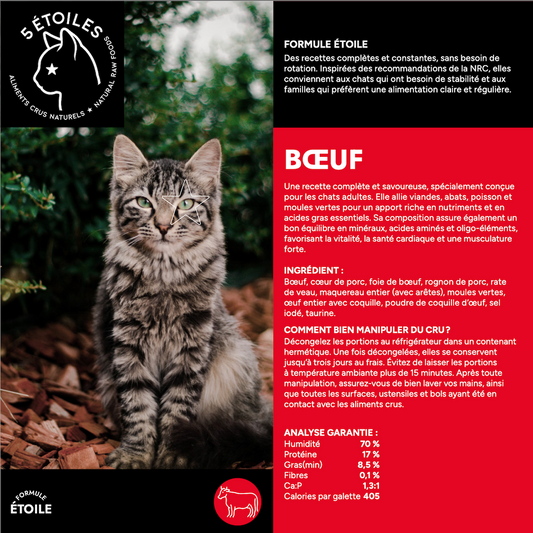 5 ÉTOILES | Formule étoile Boeuf - Nourriture crue pour chats