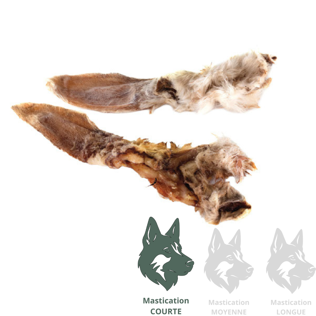 GRAND VALLEY | Oreille de lapin (unité) - Gâterie lyophilisée pour chiens et chats
