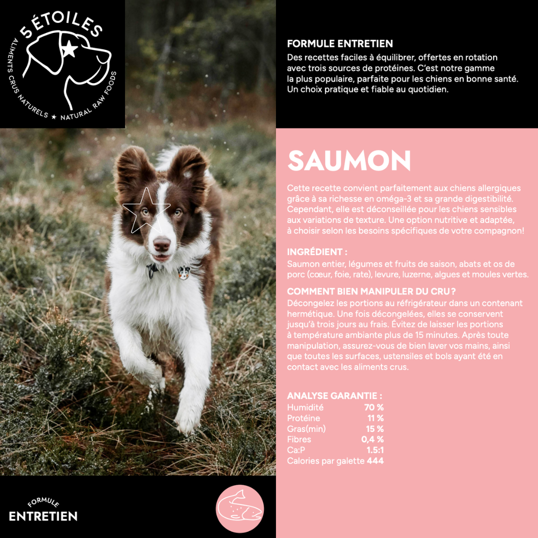 5 ÉTOILES | Boîte entretien Mixte 39 lbs - Agneau&porc, Saumon, Canard&dinde, Boeuf