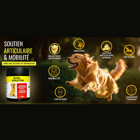 PÜR ÉVOLUTION | Soutien articulaire, supplément articulation chien et chat 140g