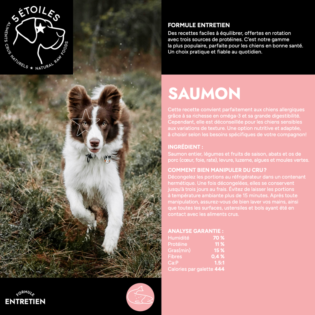 5 ÉTOILES | Boîte énergie Mixte 40 lbs - Canard, Saumon, Porc et Boeuf&porc