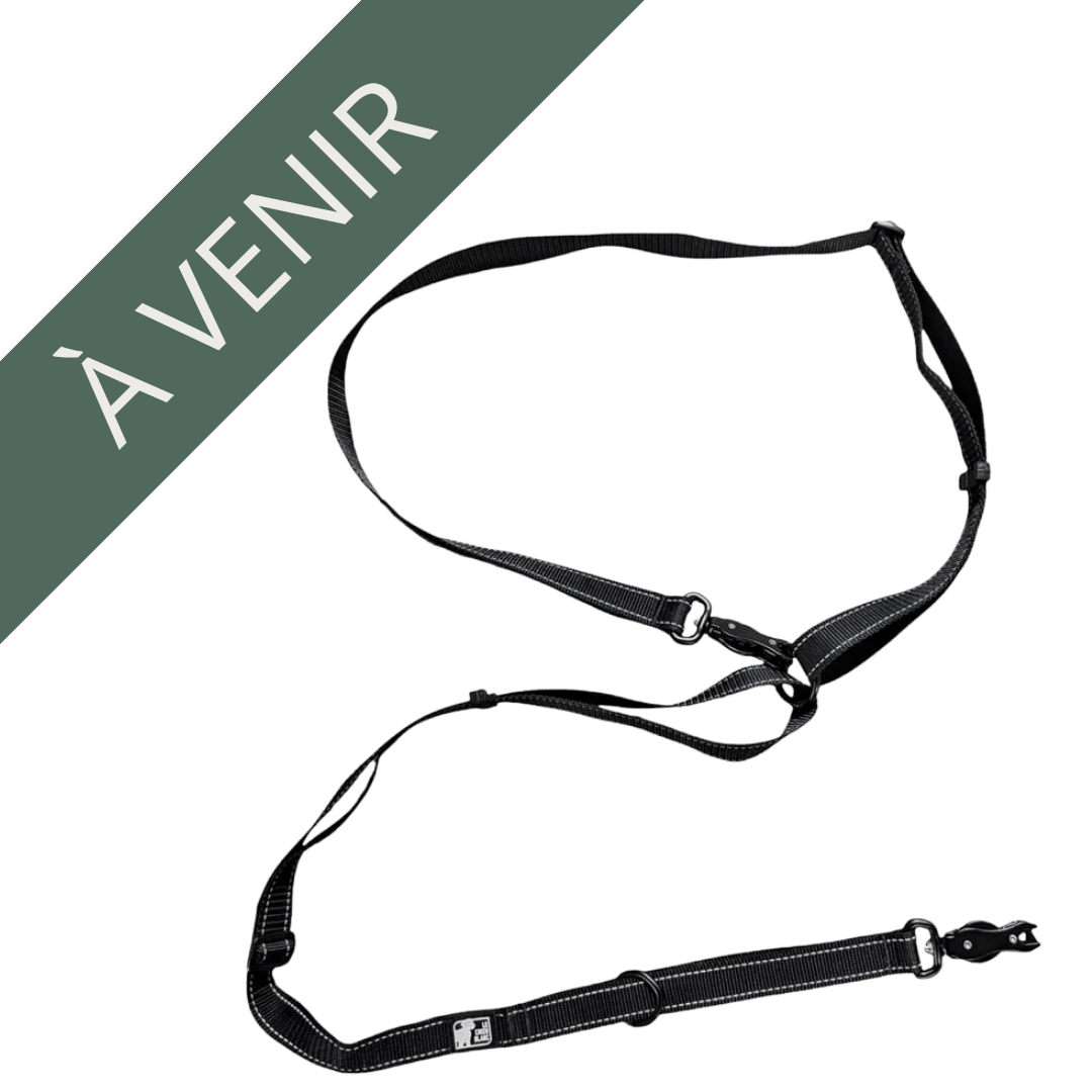 LE CHIEN BLANC | Laisse multi-usage "Storm"