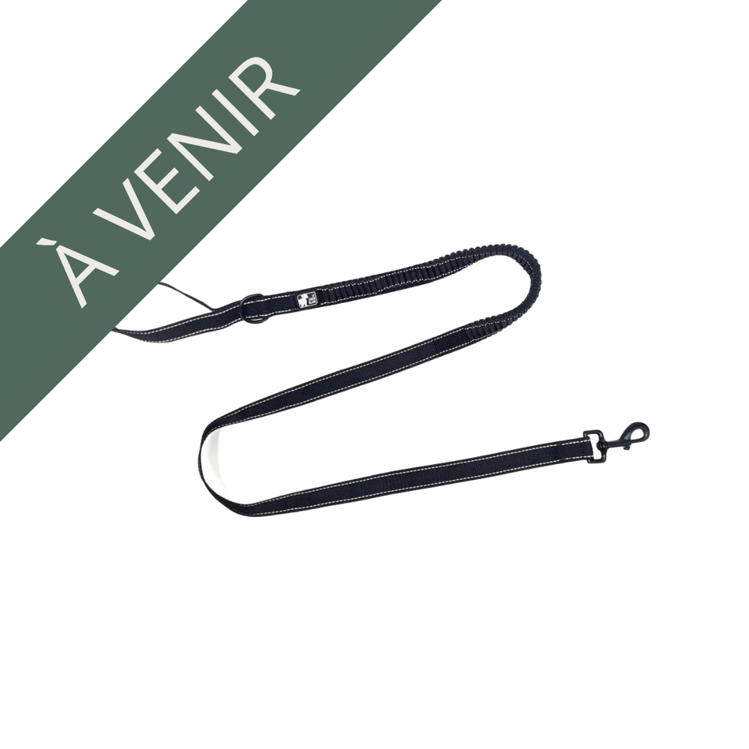 LE CHIEN BLANC | Laisse bungee