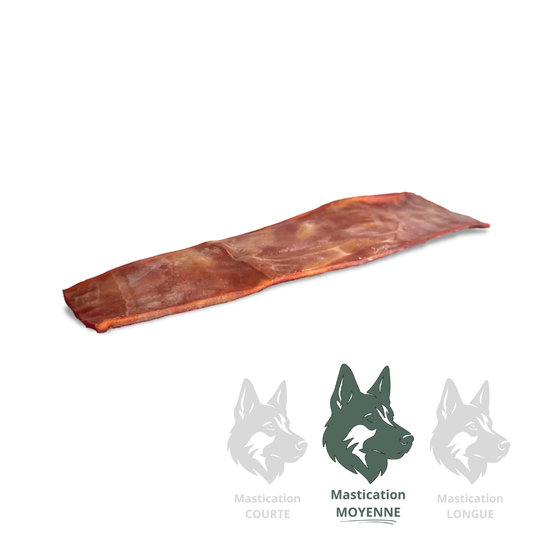 OPEN RANGE | Jerky de collagène plat