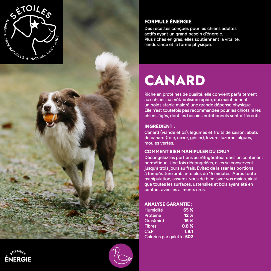 5 ÉTOILES | Boîte énergie Mixte 40 lbs - Canard, Saumon, Porc et Boeuf&porc