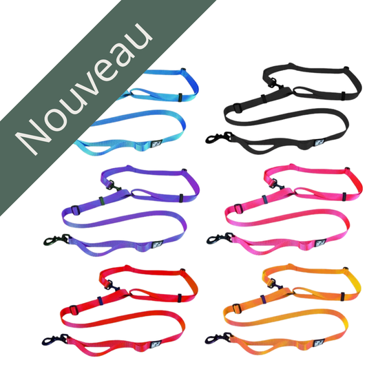 LE CHIEN BLANC | Laisse multi