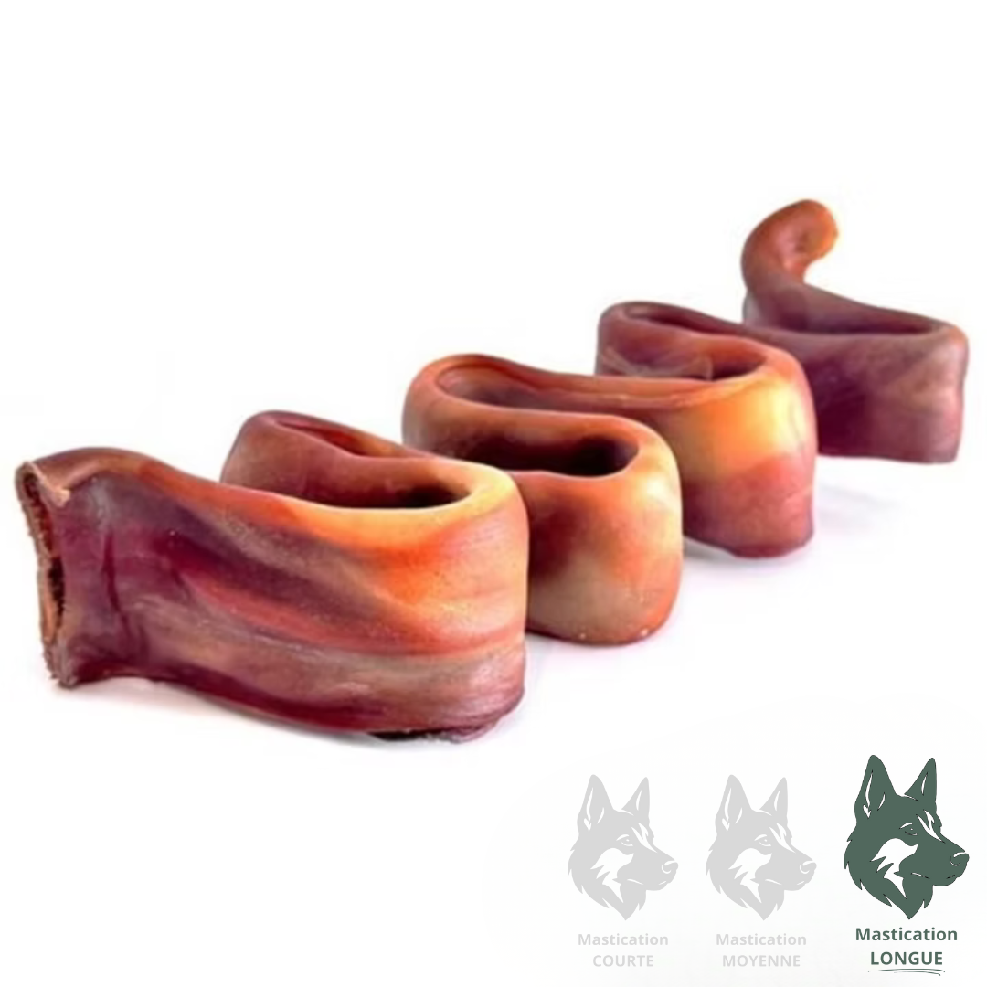 OPEN RANGE | Bande de collagène ondulée 10-12"