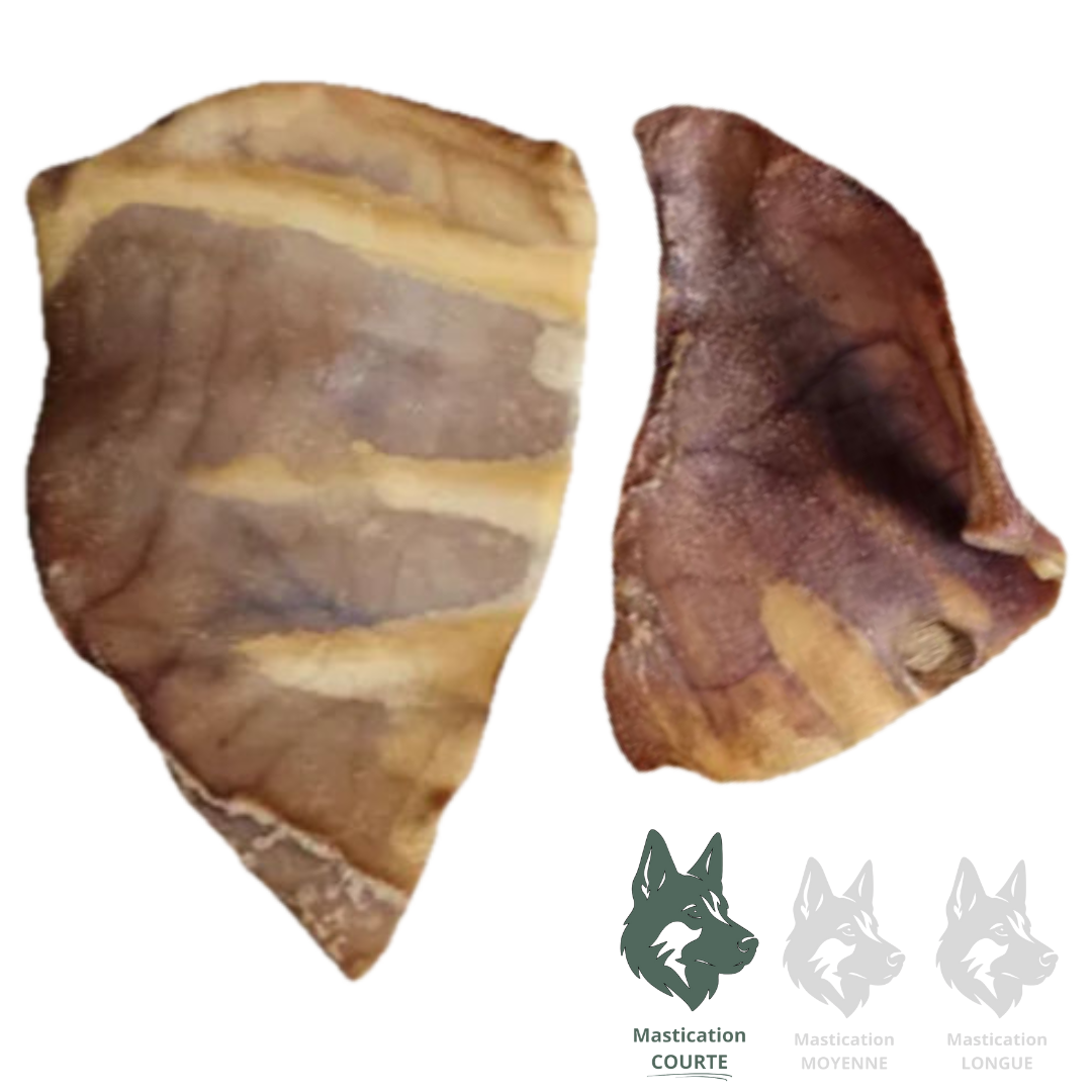 KYON | Oreilles de porc JUMBO