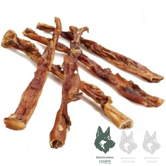 KYON | Sac de pénis de veau 4-6" (10 unités)