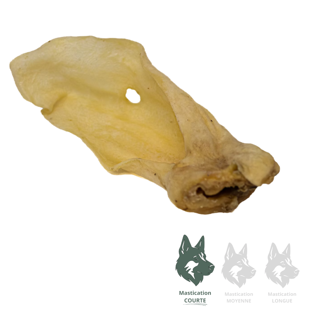 KYON | Oreille d'agneau déshydratée