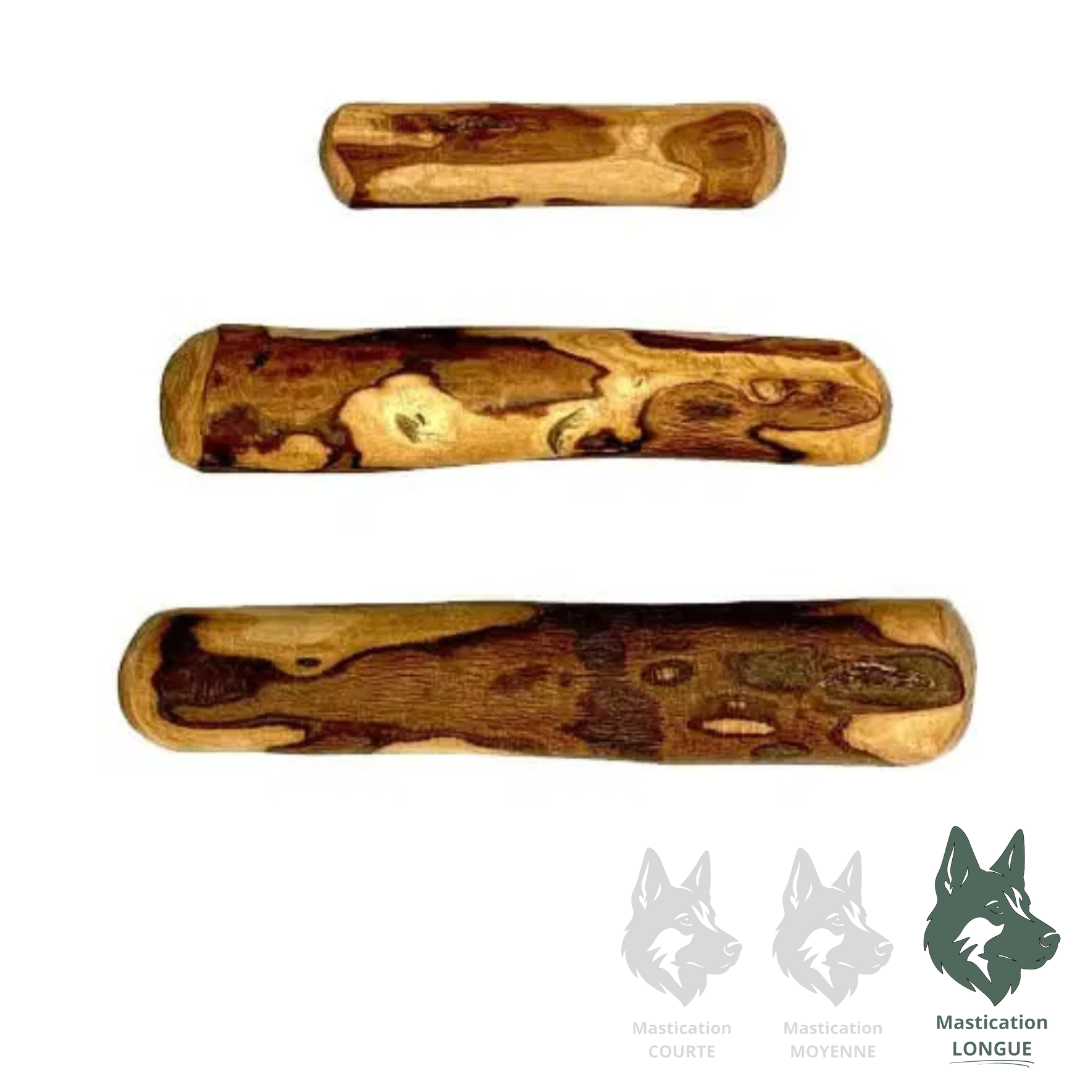 LIQUIDATION ZAYTOON | Bois d'olivier, mâchouillage durable et sécuritaire
