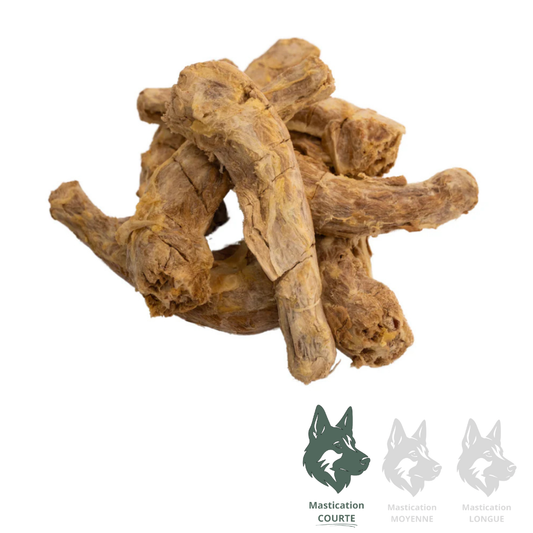 LIQUIDATION MOMENTUM | Cou de dinde (unité)