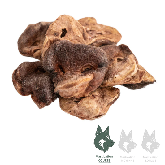 LIQUIDATION MOMENTUM | Nez de porc (unité)