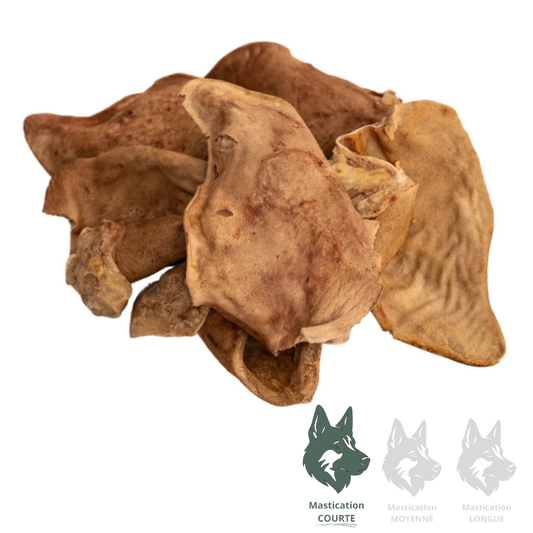 LIQUIDATION MOMENTUM | Oreille de porc (unité)