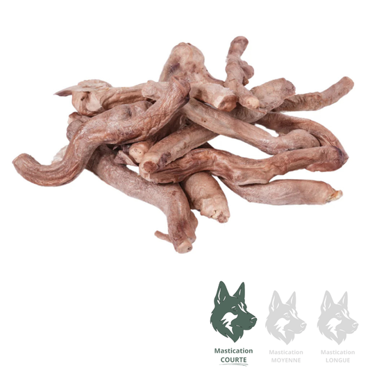 LIQUIDATION MOMENTUM | Bully Stick lyophilisé (unité)