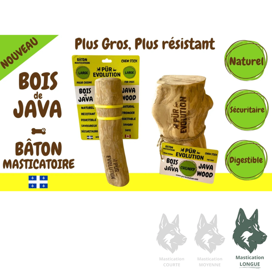 LIQUIDATION PÜR ÉVOLUTION | Bois de java