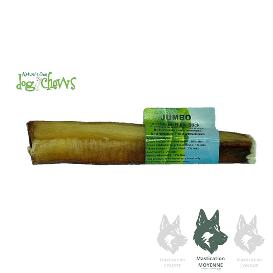 NATURE'S OWN | Bully Stick jumbo sans odeur 6''