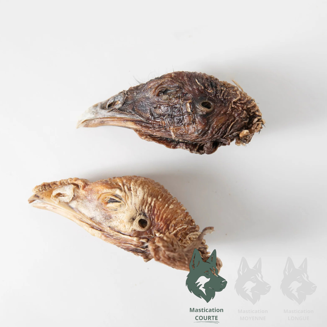 GVQ | Têtes de dinde (4unités)