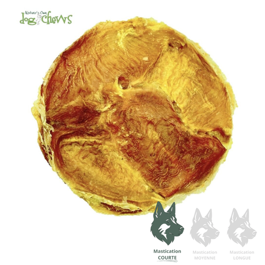 NATURE'S OWN | Frisbeef, Vessie de boeuf