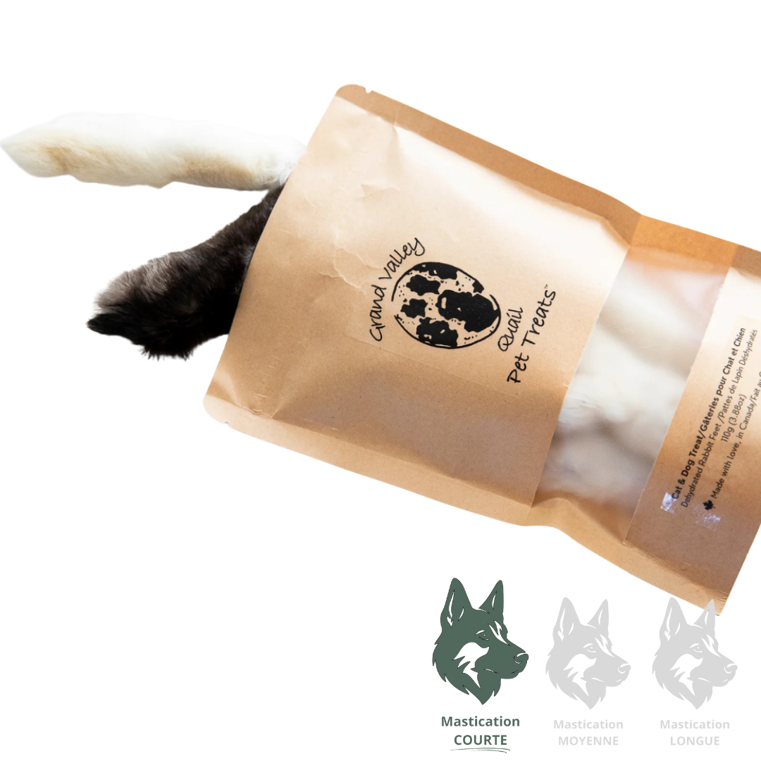 GVQ | Pattes de lapin unité