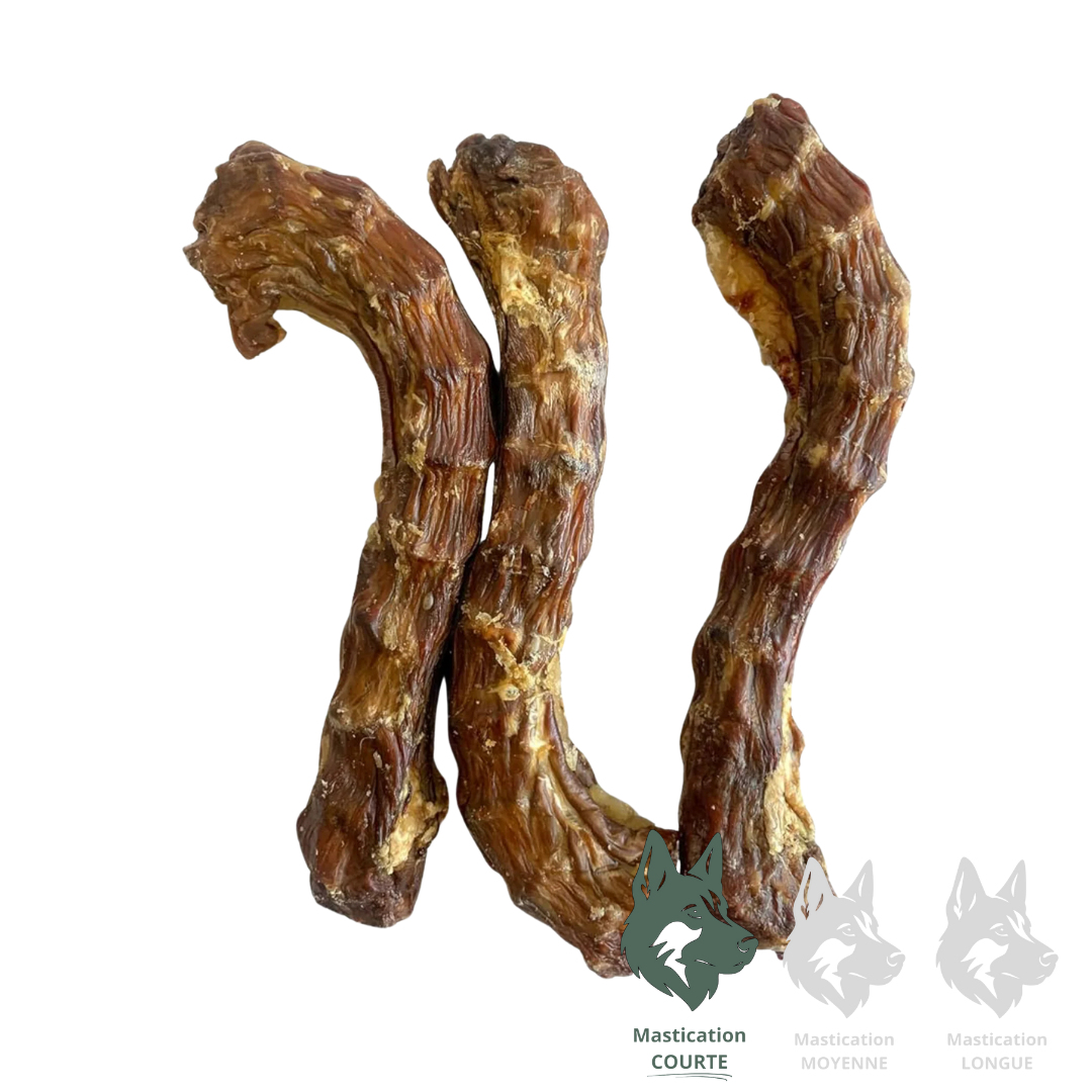 Cous de canards déshydratés