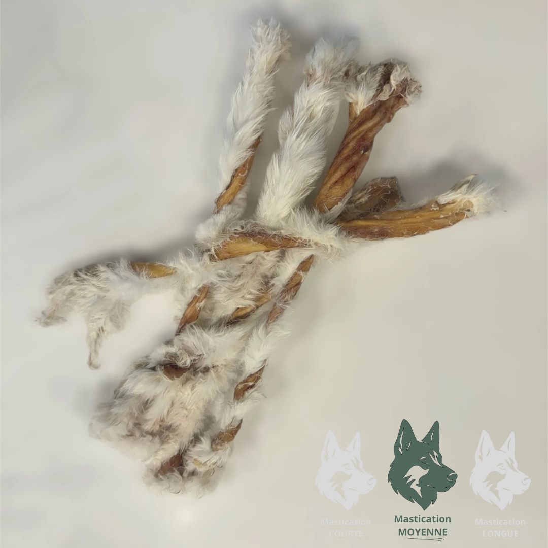 GVQ | Torsade de lapin