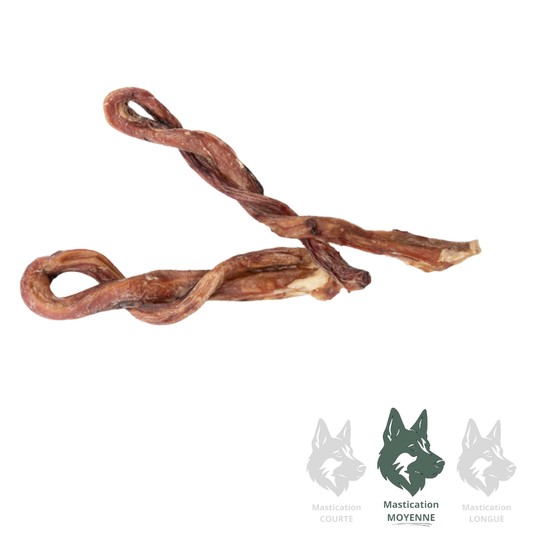 GVQ | Bully Stick torsadé 8''