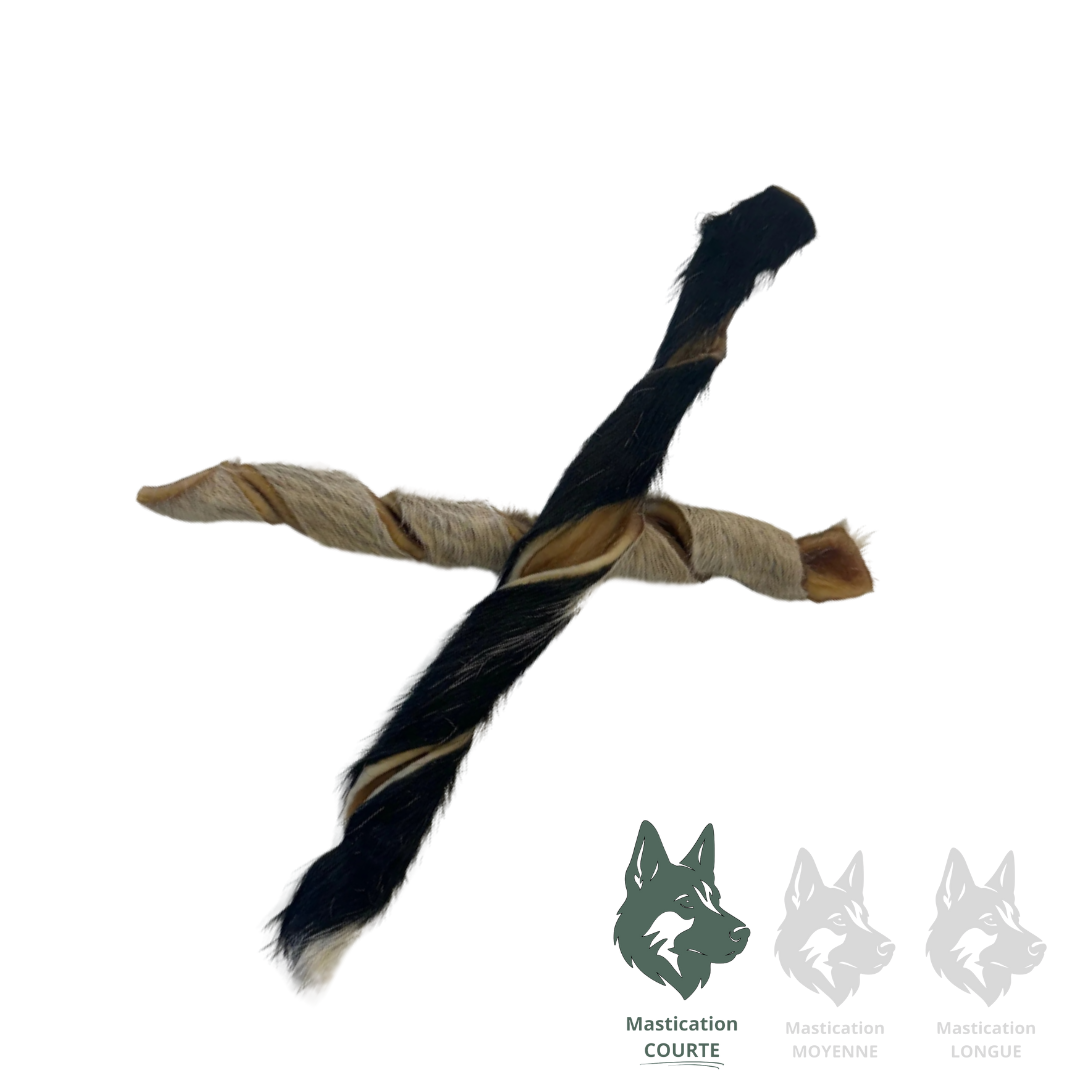 GVQ | Rouleau de peau de boeuf avec poils