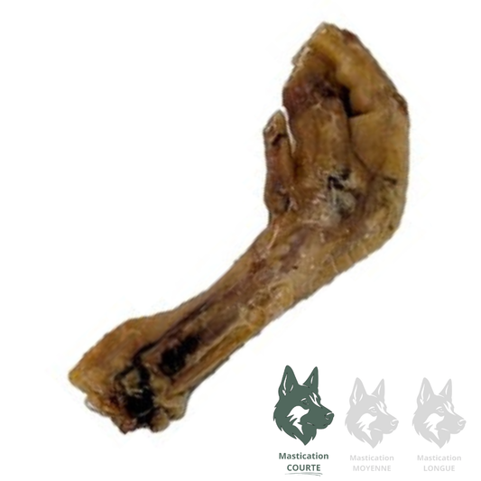 LIQUIDATION VRAC | Patte de poule géante