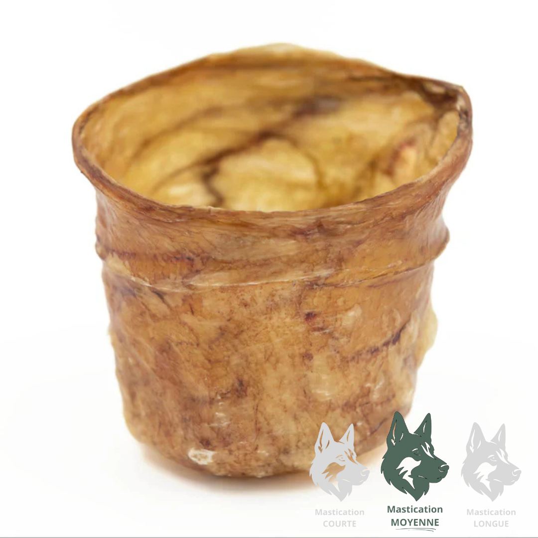 KYON | Panier de vessie