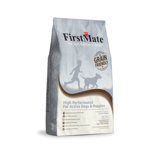 First Mate chiot adulte sportif