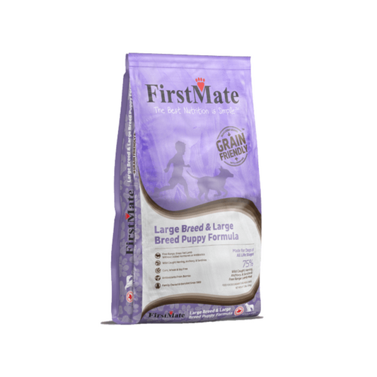 First Mate chiot adulte grande race