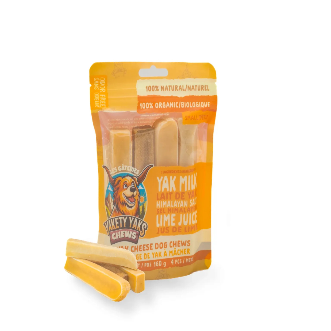 Mastication naturelle pour chien