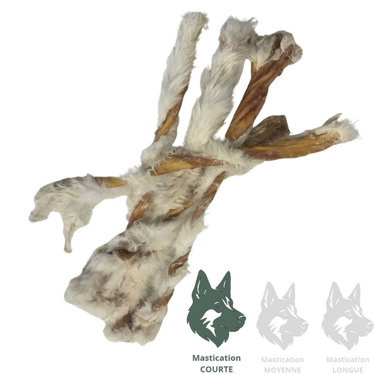 GRAND VALLEY | Torsade peau de lapin - Gâterie déshydratée pour chiens et chats Solution Nutrition Animale Saguenay