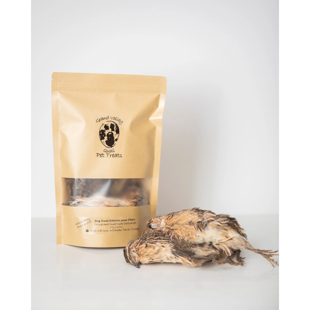 Grand valley Mastication naturelle pour chien