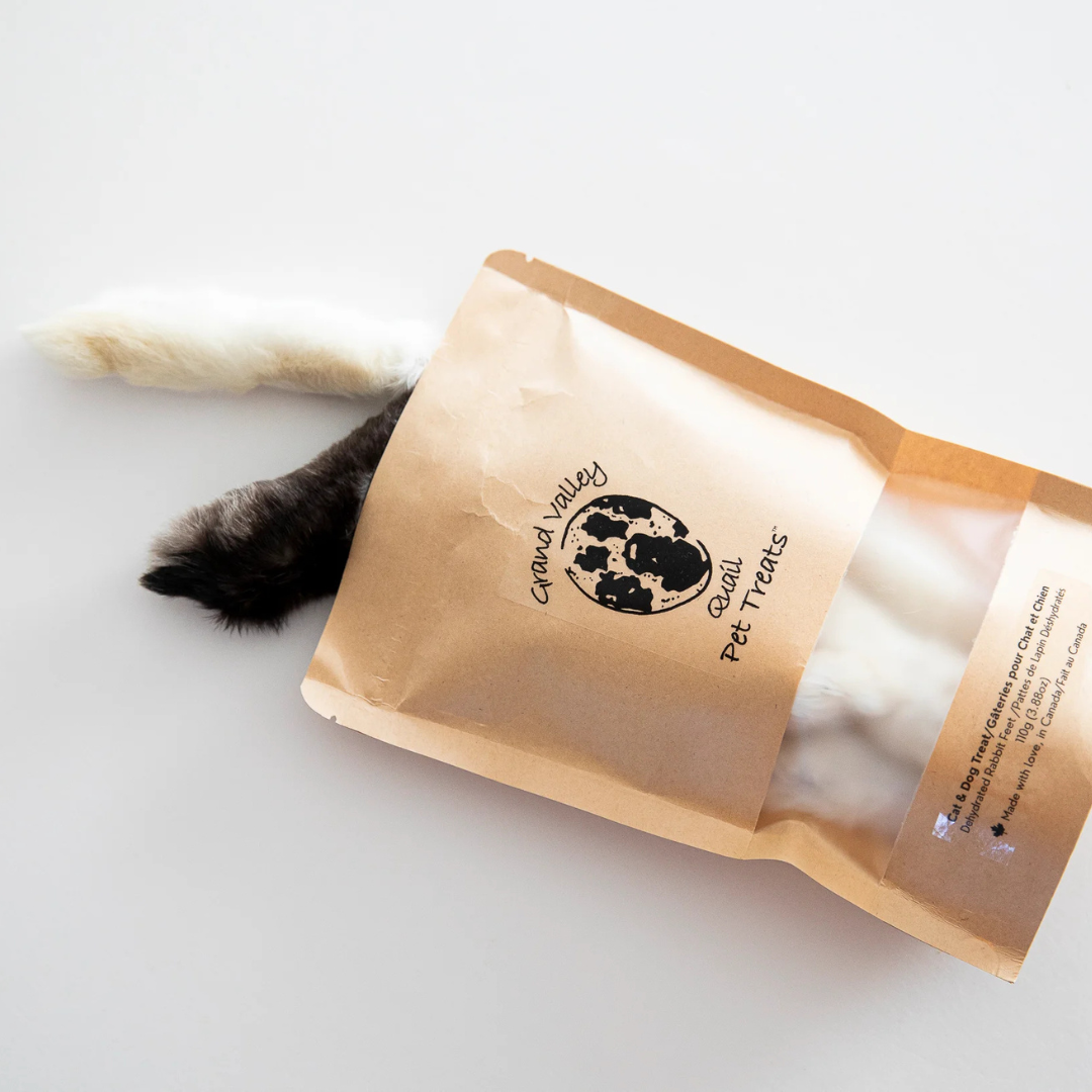 Mastication naturelle pour chien