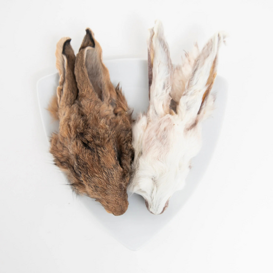 Mastication naturelle pour chien