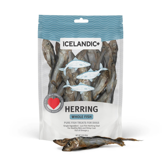 Icelandic+ Hareng entier gaterie chien