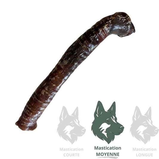 KYON Oesophage de boeuf enrobée de jerky 12" Solution Nutrition Animale