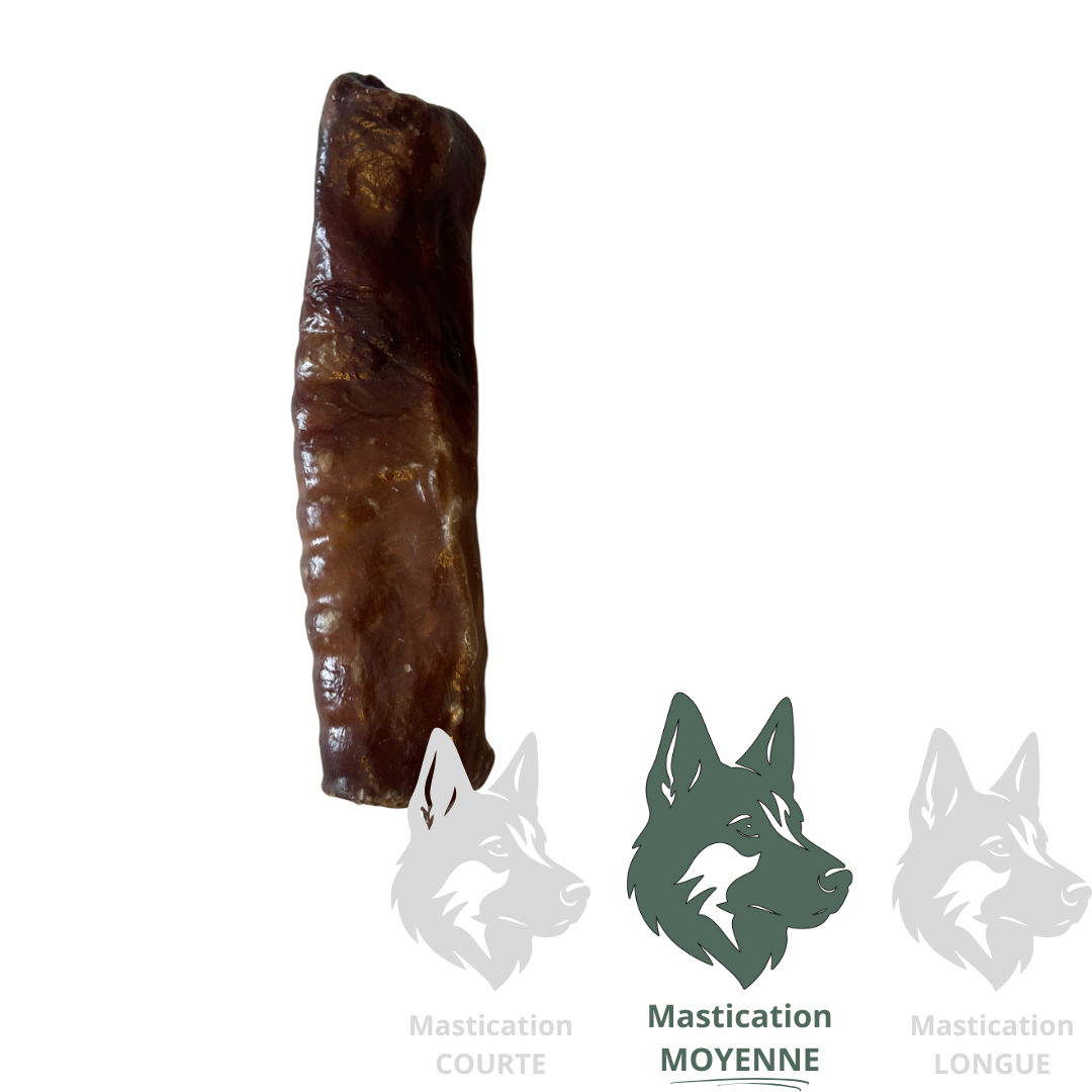 KYON Oesophage de boeuf enrobée de jerky 6" Solution Nutrition Animale