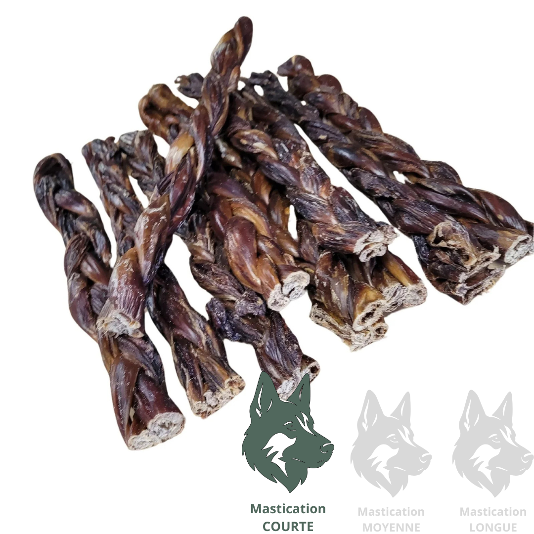 KYON Oesophage de boeuf tressé 12" Solution Nutrition Animale