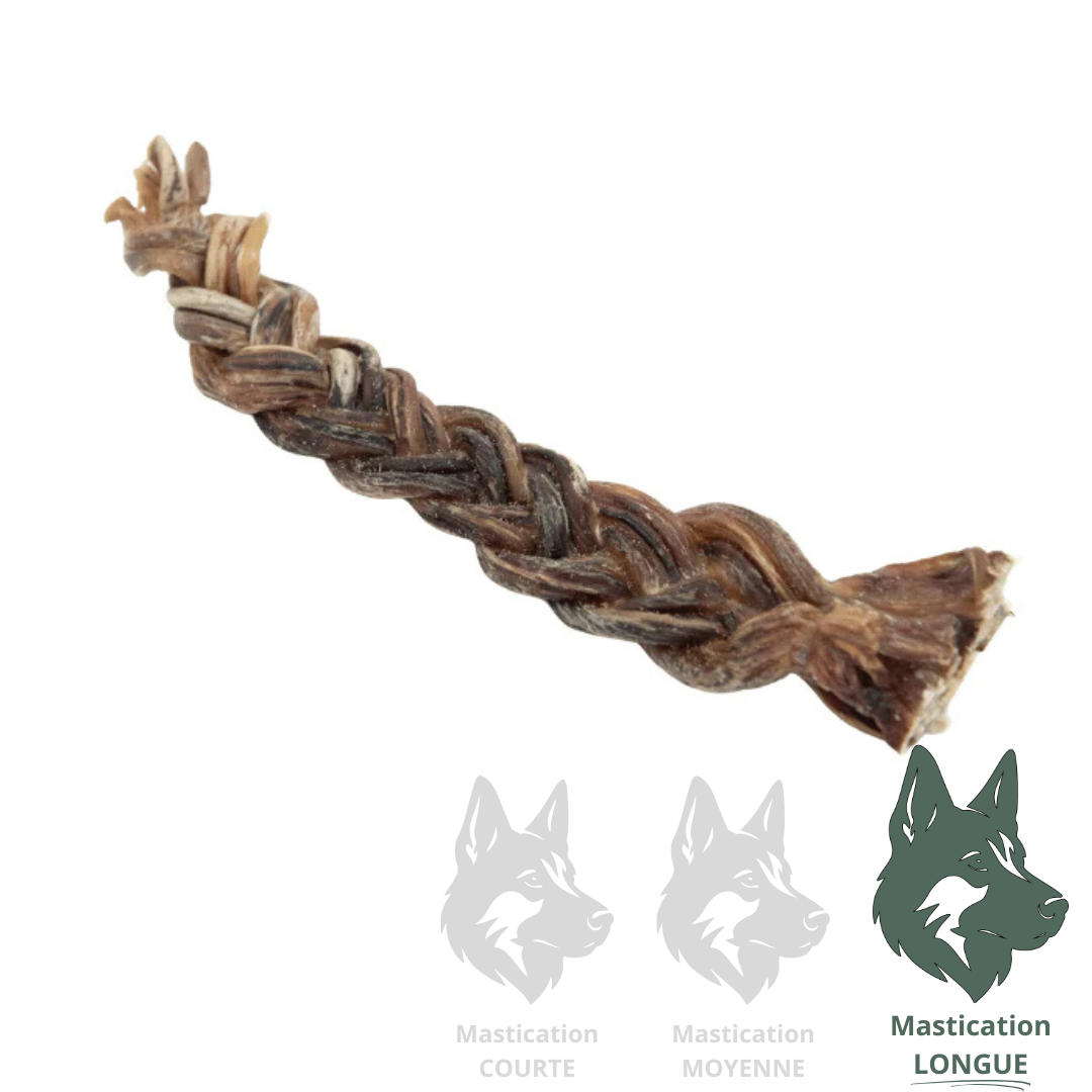 KYON Pizzle de porc tressé 8-10" Solution Nutrition Animale