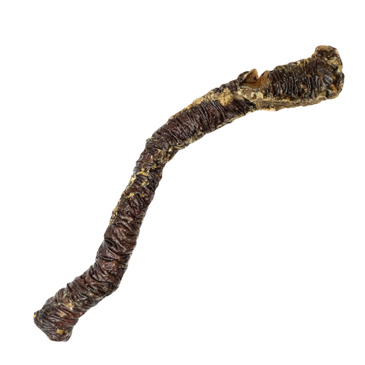 Kyon Oesophage de boeuf, Solution Nutrition Animale
