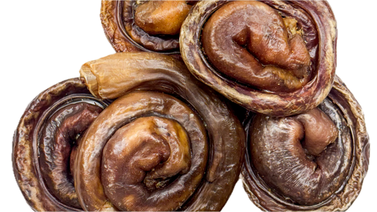 KYON | Oesophage de porc brioche. Solution Nutrition Animale, votre référence en besoin nutritionnel pour chiens et chats au Québec.