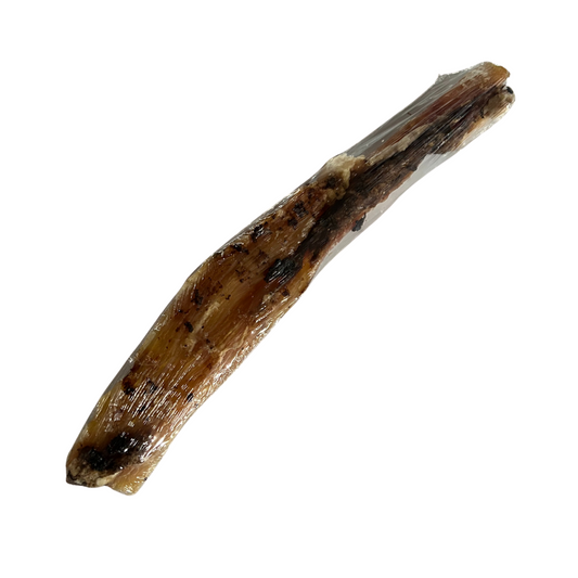 Kyon Tendon de veau Solution Nutrition Animale