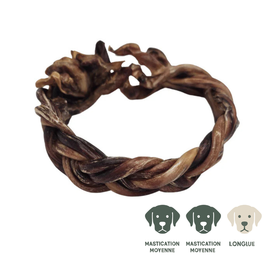 Kyon anneau tresse de porc