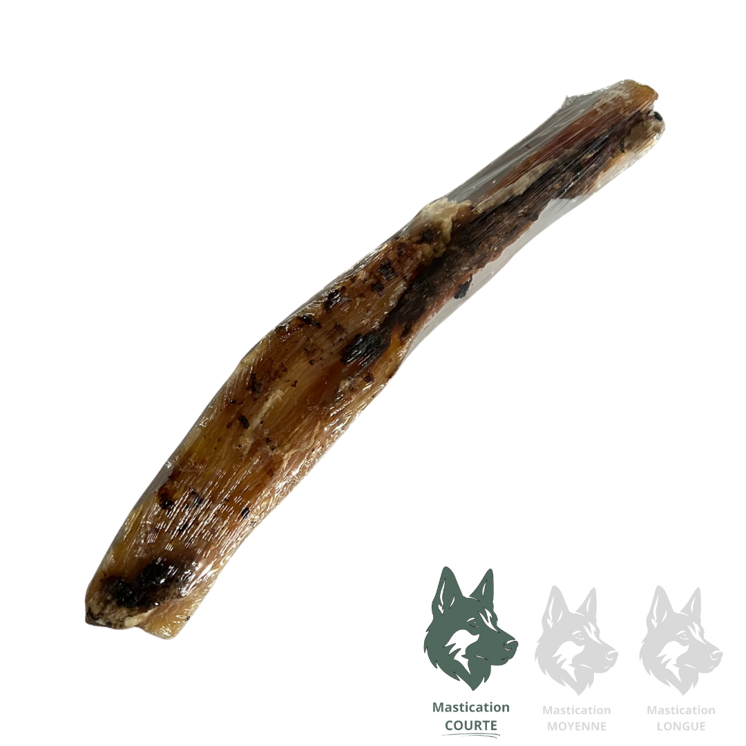 Kyon tendon de veau 8-12 pouces