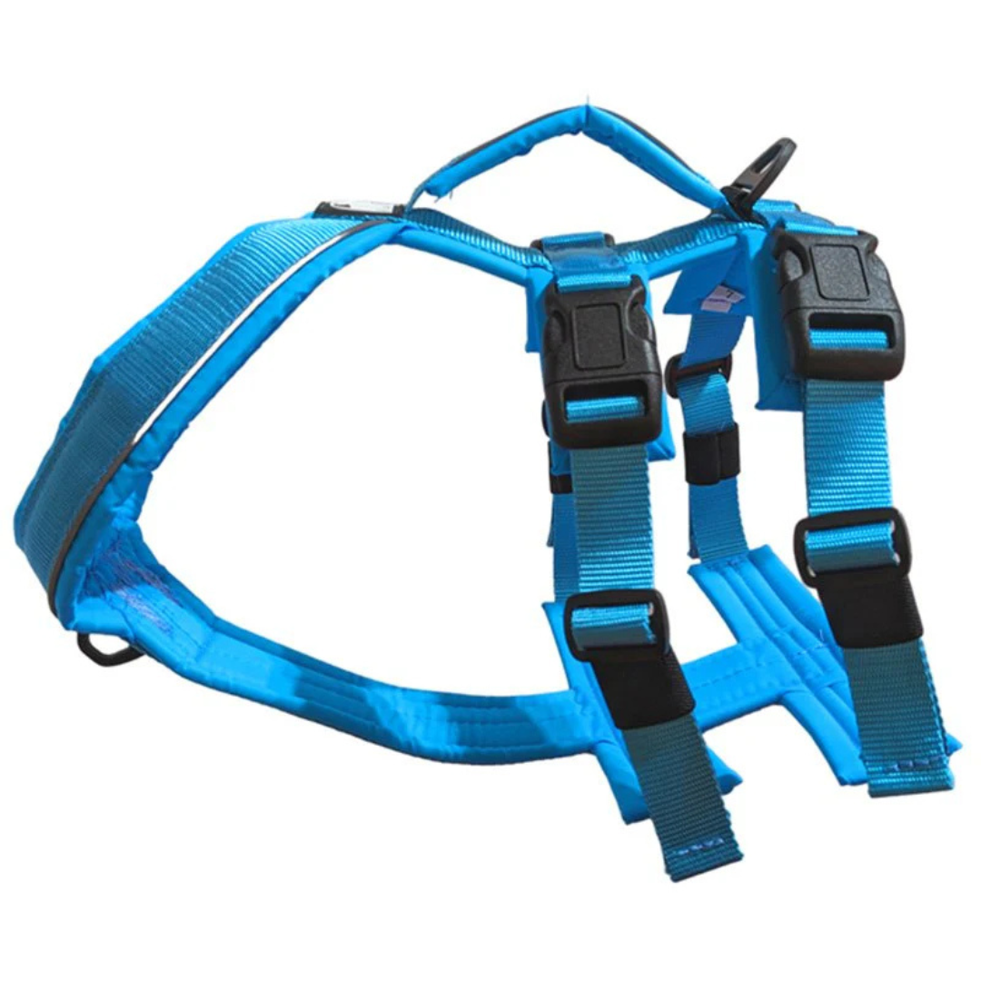LE CHIEN BLANC | Harnais Atlas bleu aqua